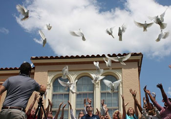 Dove Release Palm Coast