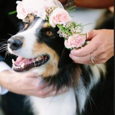 Hair Flower Wreath